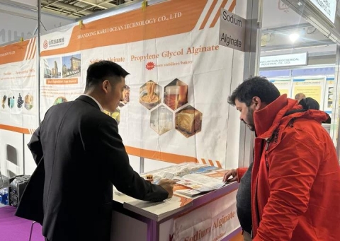 Jiejing Group Participates in FI Europe 2025 - European Food Ingredients and Natural Ingredients Exhibition