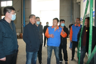 Haopinhaizhi &Jiangsu Fuqiang Visited Jiejing for Communication