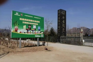 Proposal by Lin Chengbin, President of Shandong Jingjing Group and Rizhao Municipal People’s Congress Deputy, to Enhance Quality and Efficiency in Rizhao’s Tea Industry 